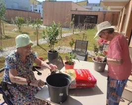 Habitat Partage - Giberville : Résidence Service Senior à Giberville