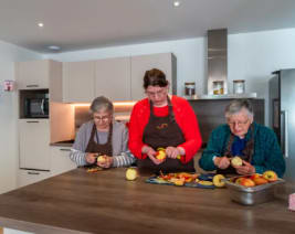 Maison Partagée Dinéault : EHPAD à Dinéault