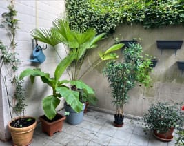 Home Adagio : MRS à Berchem-Sainte-Agathe