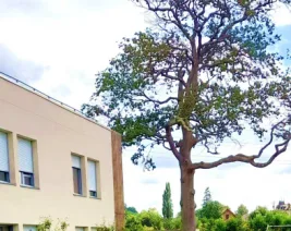 EHPAD du Val d'Auge : EHPAD à Pont-l'Évêque