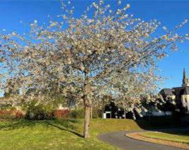 EHPAD Maison de Retraite Sainte-Anne : EHPAD à Tiercé