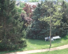 EHPAD Résidence les Acacias : EHPAD à Champigné
