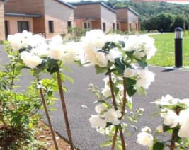 Résidences les Lilas : Résidence Service Senior à Froncles