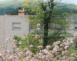 EHPAD Angel Filippetti : EHPAD à Audun-le-Tiche