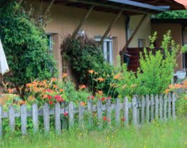 EHPAD Résidence de Chandalon de Chabreloche : EHPAD à Chabreloche