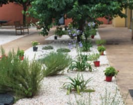 Maison de Retraite El Cant Dels Ocells : EHPAD à Prats-de-Mollo-la-Preste