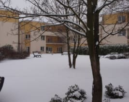 EHPAD les Maisons du Dr Oberkirch : EHPAD à Sélestat