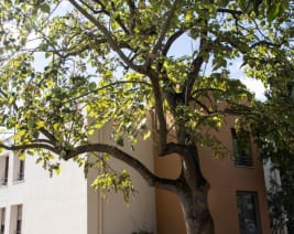 Le Prieuré : EHPAD à Conflans-Sainte-Honorine