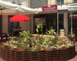 EHPAD les Chanterelles : EHPAD à Celles-sur-Belle