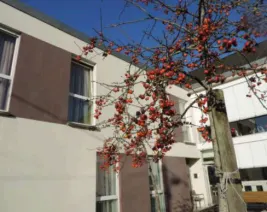 EHPAD Résidence Louise Marais d'Arc : EHPAD à Bray-sur-Somme