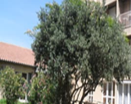 Foyer-Logement le Clos de la Jarretiere : Résidence Service Senior à Avignon