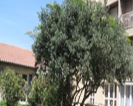 Foyer-Logement le Clos de la Jarretiere : Résidence Service Senior à Avignon