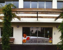 EHPAD le Home Fleuri : EHPAD à Saint-Étienne-lès-Remiremont