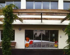 EHPAD le Home Fleuri : EHPAD à Saint-Étienne-lès-Remiremont