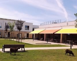 EHPAD Plabennec : EHPAD à Plabennec
