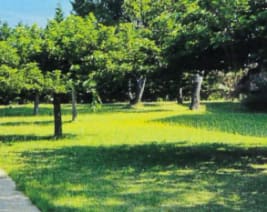 EHPAD la Capitelle : EHPAD à Saint-Chaptes