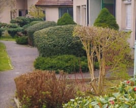 Marpa la Motte Troncay : Résidence Service Senior à Chevagnes