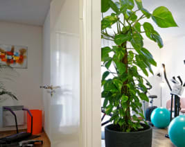 Résidence Eugénie : Résidence Service Senior à Chambray-lès-Tours