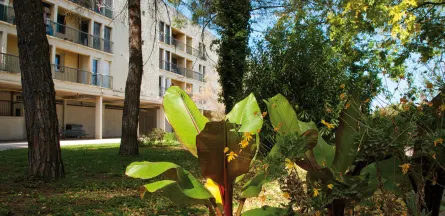 EHPAD les Aubes : EHPAD à Montpellier
