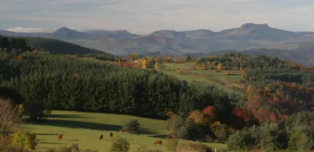 EHPAD de Moze : EHPAD à Saint-Agrève
