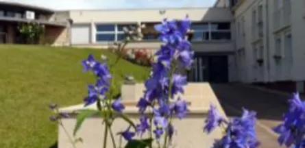 EHPAD les Clairions : EHPAD à Auxerre